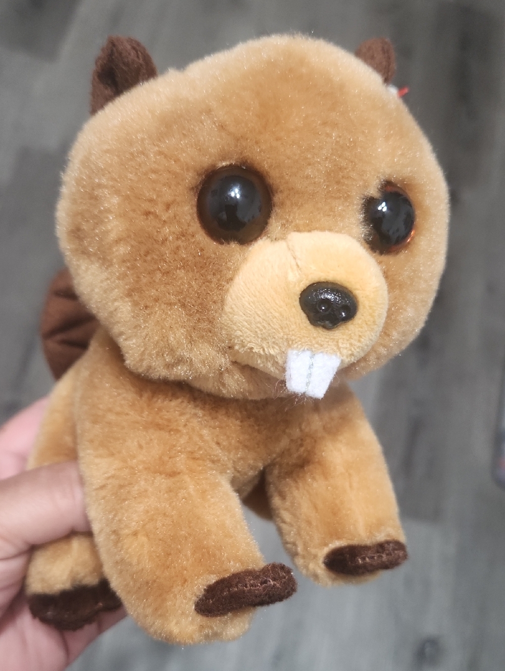 Plush Beaver Stuffed Animal